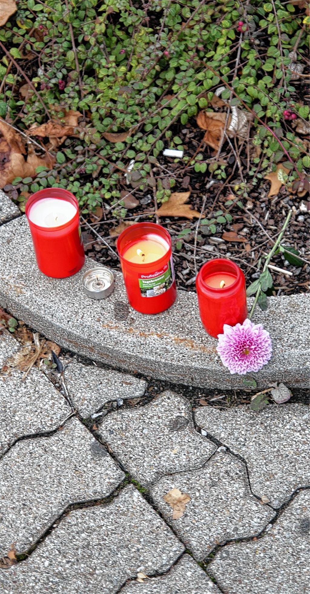 Zeichen der Trauer: Kerzen und eine Blume weisen auf den tödlichen Unfall hin, der sich am Montagnachmittag, auf dem Parkplatz des Aldi-Marktes in Bretten ereignet hat.