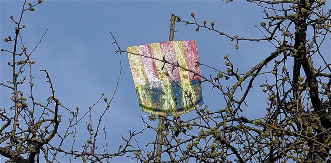 Zeichen des Widerstands und Hinweis auf die Besitzverhältnisse: Die Krone des Birnbaums, um den einst der Kreisverkehr gebaut wurde, schmückt ein selbstgemaltes Lomersheimer Wappen.