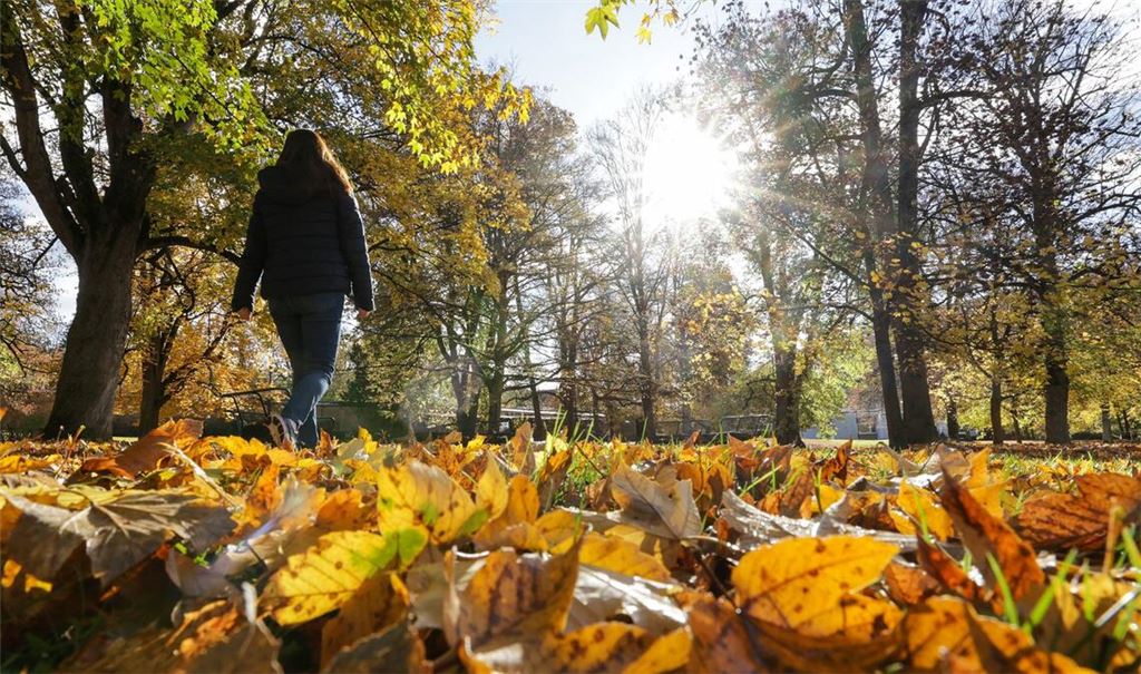 Zeitweise soll sich auch die Sonne zeigen (Symbolbild).