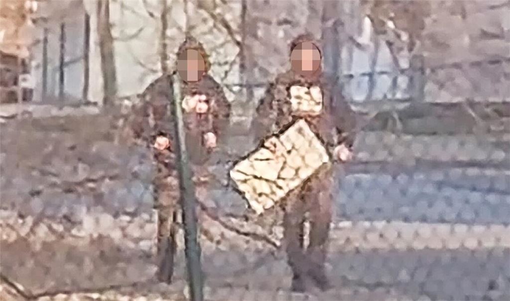 Zeugen, die mit der AfD sympathisieren, haben in Niefern-Öschelbronn Plakaträuber mit dem Handy gefilmt. Foto: Archiv