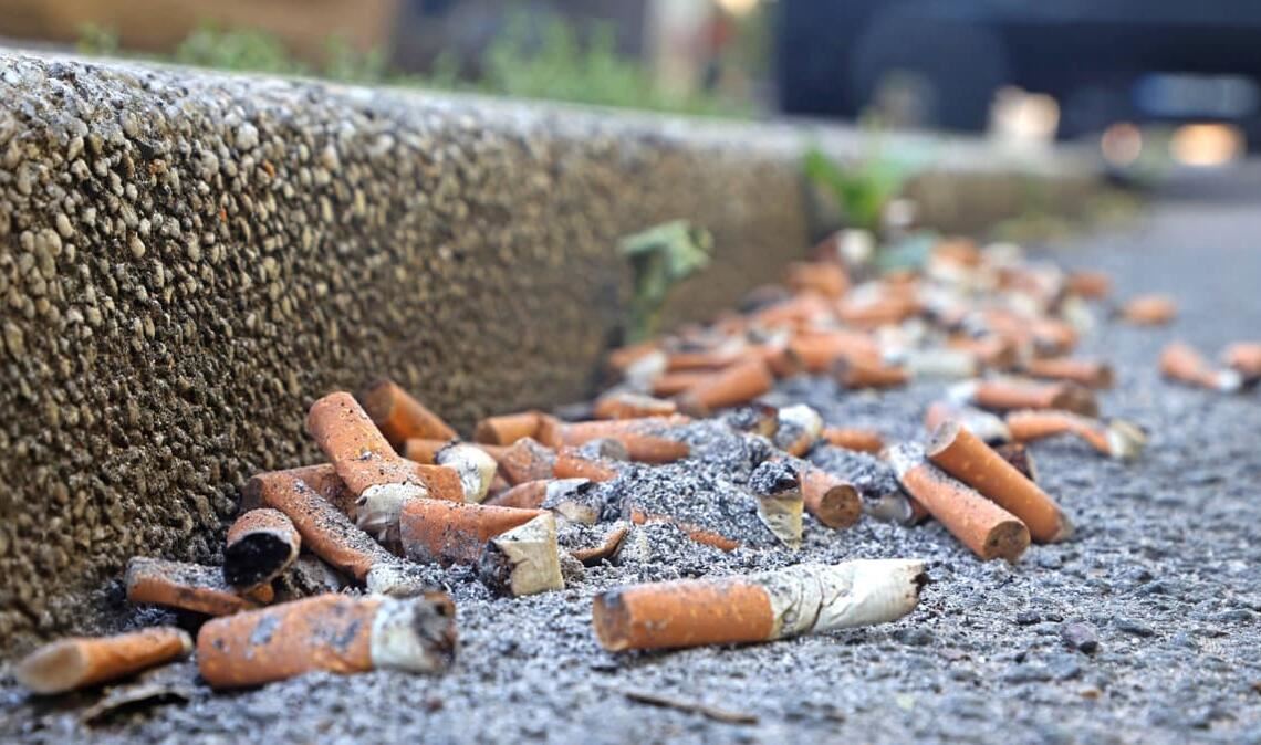 Zigarettenkippen befinden sich mancherorts in großer Zahl am Straßenrand.