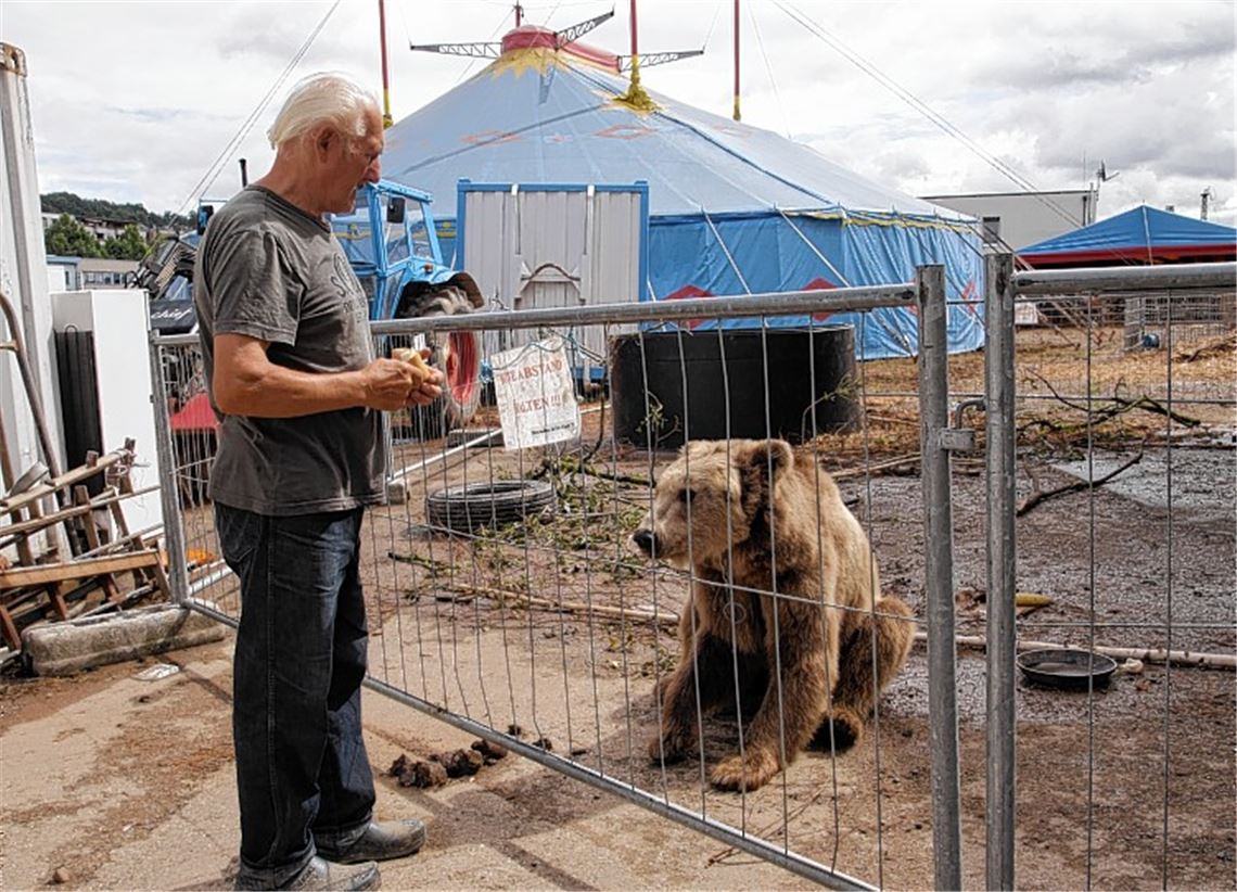 Zirkusdirektor Frank mit einem der Bären.