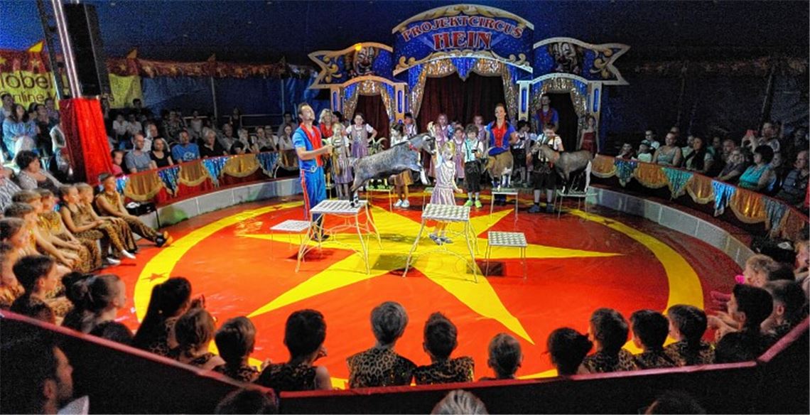 Zirkusleben