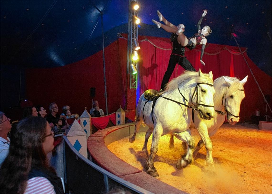 Zirkusluft