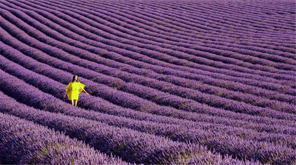 Die die Zeit zähmen