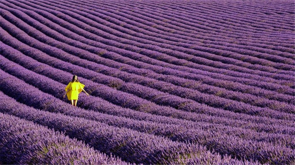 Die die Zeit zähmen