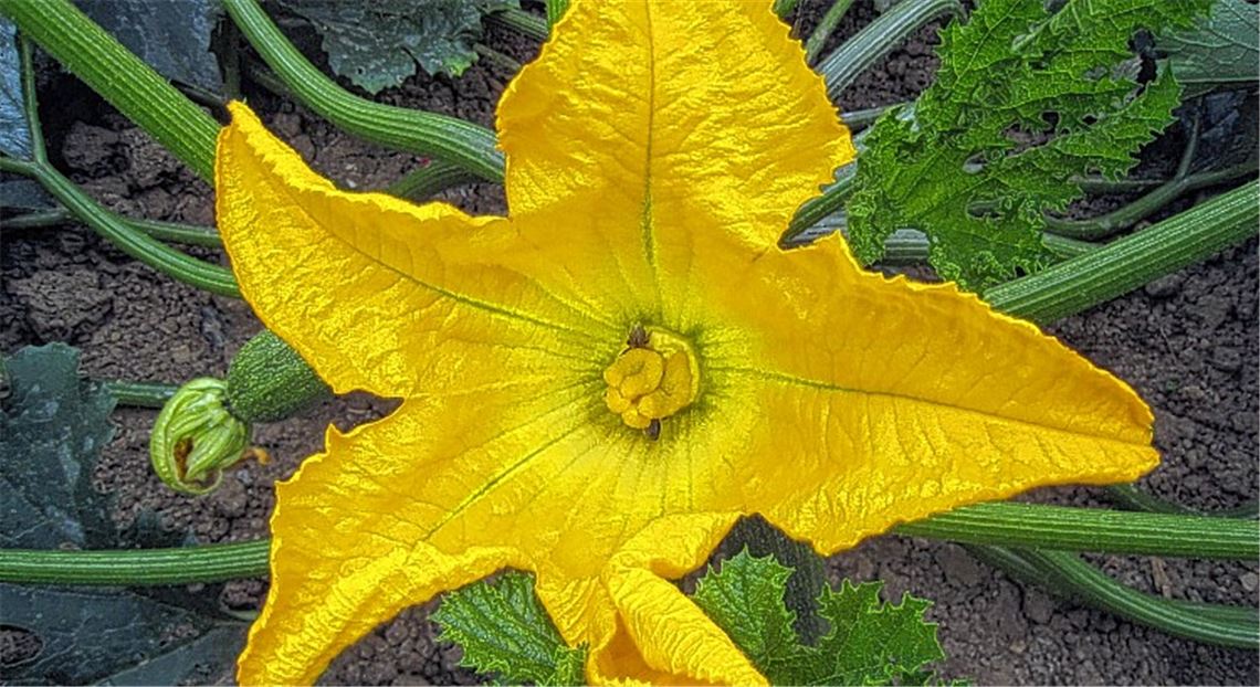 Sommerzeit Sommerzeit