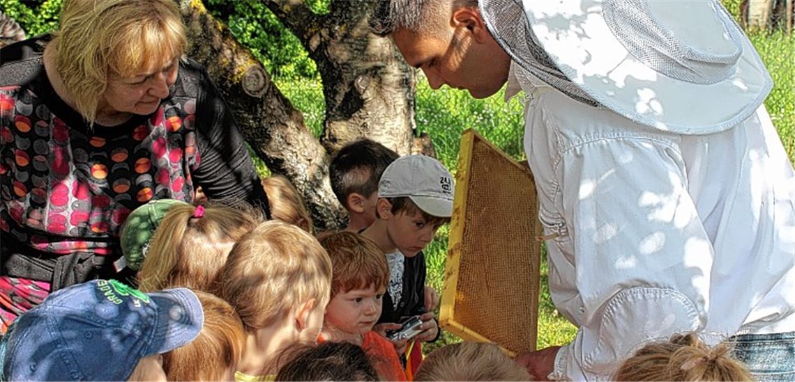 Zuckersüß: Andreas Seel zeigt eine Wabe, prall gefüllt mit frischem Honig, den die Kinder des Kindergartens Regenbogen gleich probieren dürfen.
