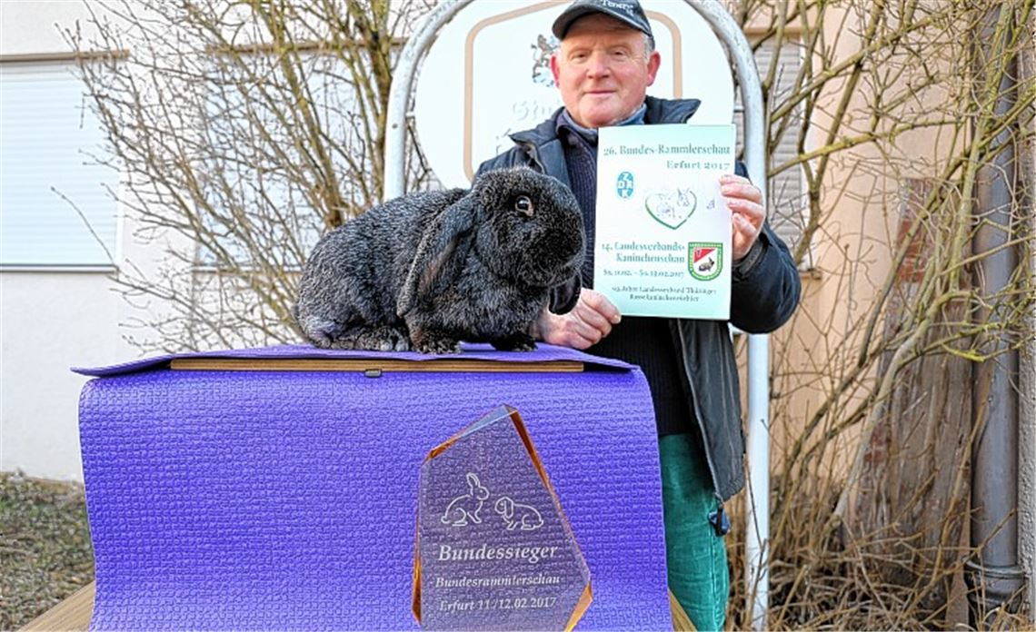 Deutschlands Schönster