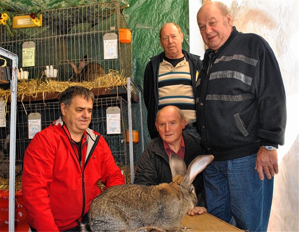 Züchter aus Mühlacker präsentieren bei einer Lokalschau ihre Tiere. Foto: Stahlfeld