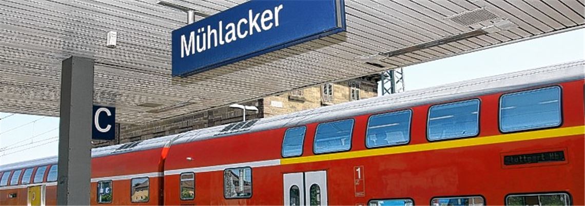 Zufällige Zwischenstation? Mit der Frage, wie in Zukunft spontane Aufmärsche der Rechten in Mühlacker verhindert werden können, hat sich am Abend der Gemeinderat beschäftigt.