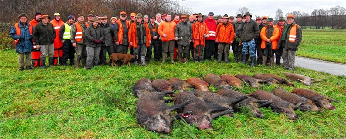Zufriedene Jäger und Treiber: 16 Wildschweine und ein Reh sind „zur Strecke gebracht“.