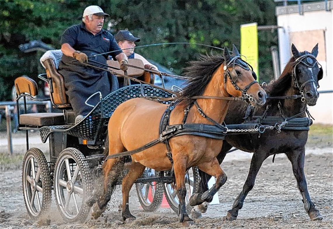 Kutschenfahrer vor spannendem Endspurt