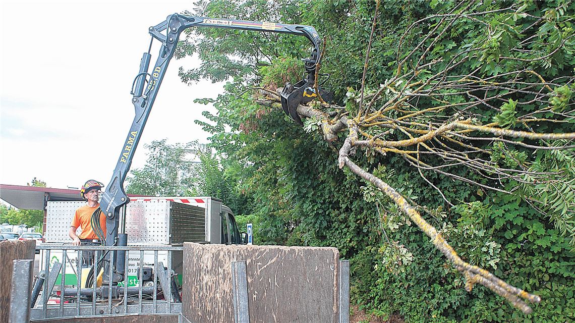Zum Abtransport verlädt Sascha Huber das Holz auf den Hänger. Foto: Fotomoment