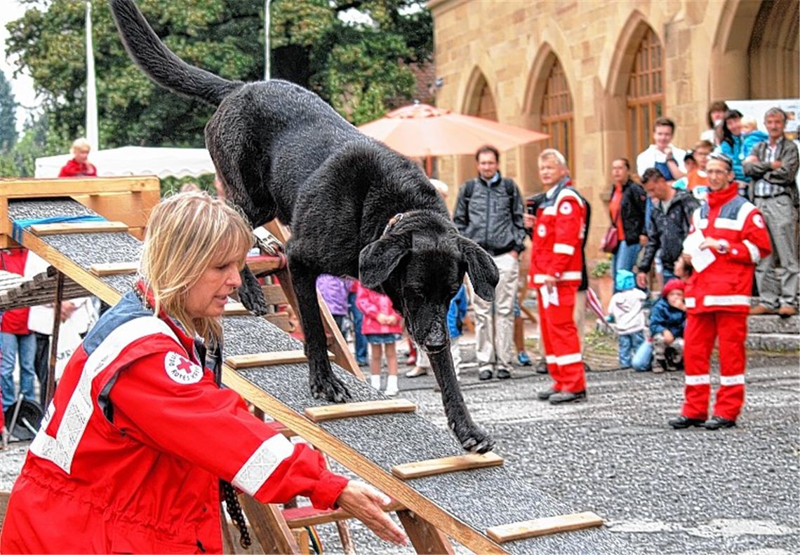 Zum Programm zählen Vorführungen der Rettungshundestaffel Pforzheim und Enzkreis, Tanzdarbietungen von Svenja Haalboom, Maike Haalboom und Julia Hopff sowie der Blick in die neue Fahrzeughalle.