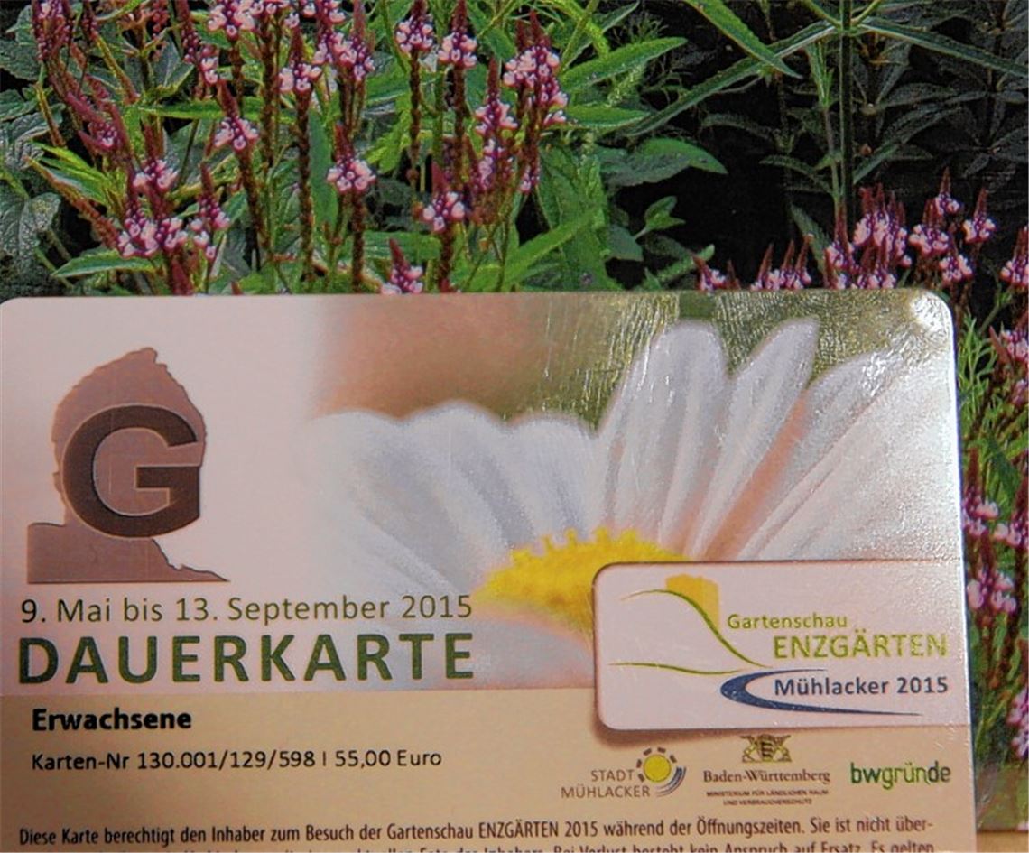 Zum Verwechseln ähnlich: Nur das „G“ auf dem Bildfeld unterscheidet den Gutschein auf den ersten Blick von einer Dauerkarte. 