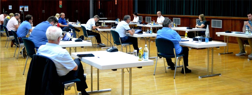 Zum letzten Mal wird eine Illinger Gemeinderatssitzung von Harald Eiberger (hinten, weißes Hemd) geleitet. Foto: Stahlfeld