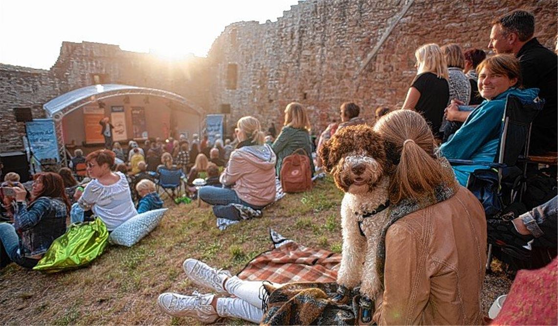 Von Hamstern und allzu Menschlichem