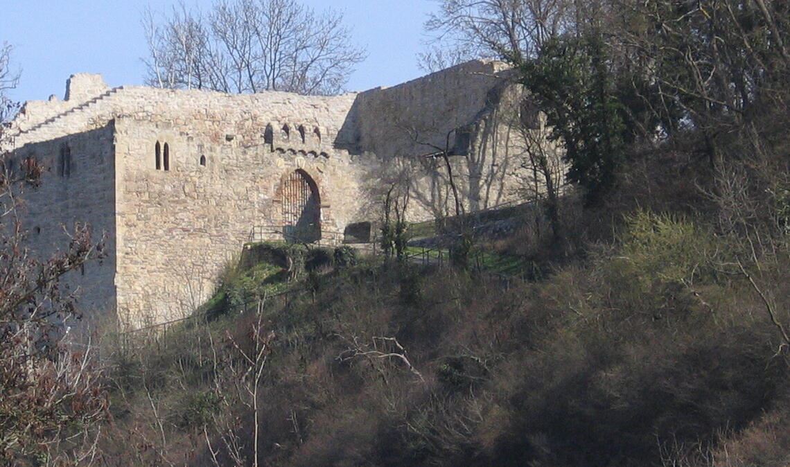 Zumindest während der Sommermonate soll die Burg Löffelstelz bis Mitternacht wieder angestrahlt werden, fordern die Freien Wähler. Foto: Archiv