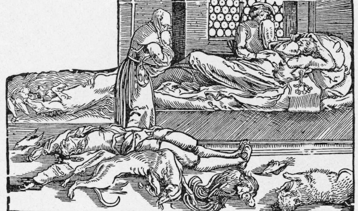 Zur medizinischen Behandlung der Beulenpest entstanden spezielle, zum Teil weit verbreitete Ratschläge zu auch von Laien durchzuführenden medikamentösen und diätetischen Maßnahmen sowie zur Anwendung von Aderlässen und nassem Schröpfen.
