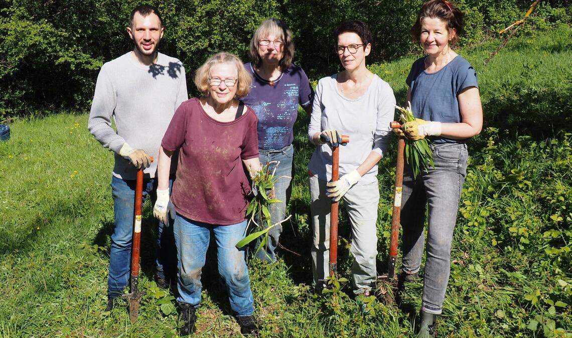 Zusammen mit dem Mühlacker Ortsgruppen-Vorsitzenden Michael Hudak befreien Naturschützerinnen den Enzberger Stubenrain von der giftigen Herbstzeitlosen. Foto: Müller
