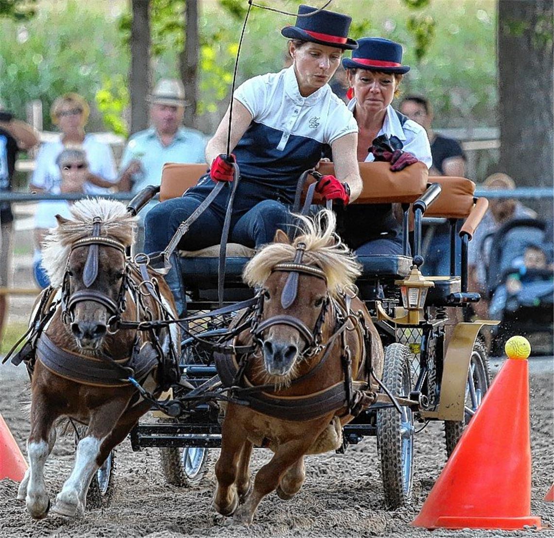 Stelldichein der Kutschenfahrer