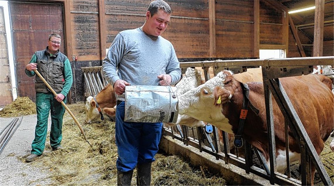Wunschberuf mit Herausforderungen