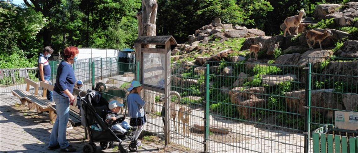 Zwar müssen die Besucher einen Mund-Nasen-Schutz tragen, das trübt ihre Freude über das Wiedersehen mit den tierischen Stars im Wildpark aber keineswegs.Friedrich