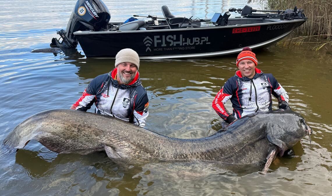 Zwei Angler in Polen haben einen fast drei Meter langen Wels gefangen. (Foto Handout)