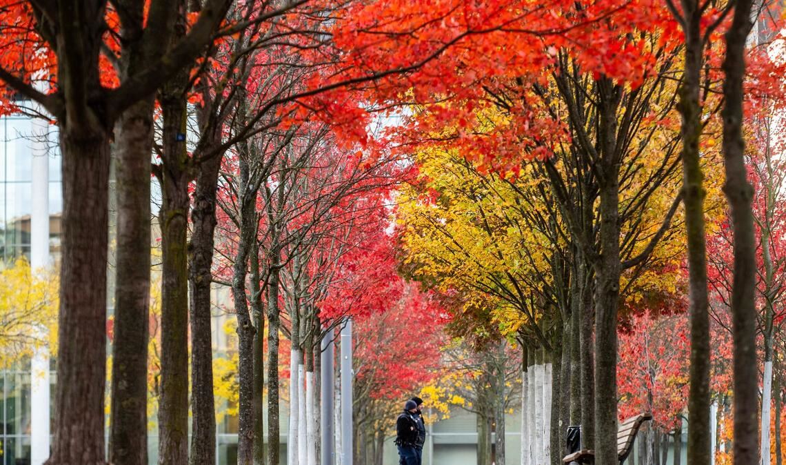 Zwei Polizisten gehen im Regierungsviertel zwischen bunt gefärbten Bäumen.