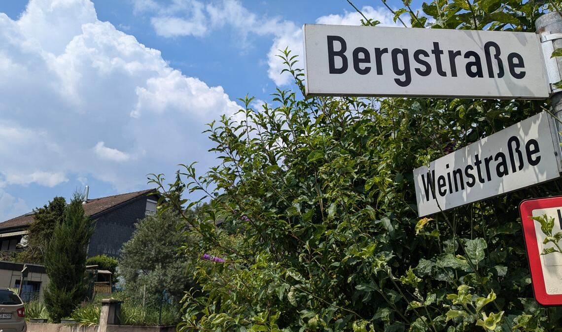 Zwischen Berg- und Weinstraße entstehen neue Bauplätze. Foto: Steigleder