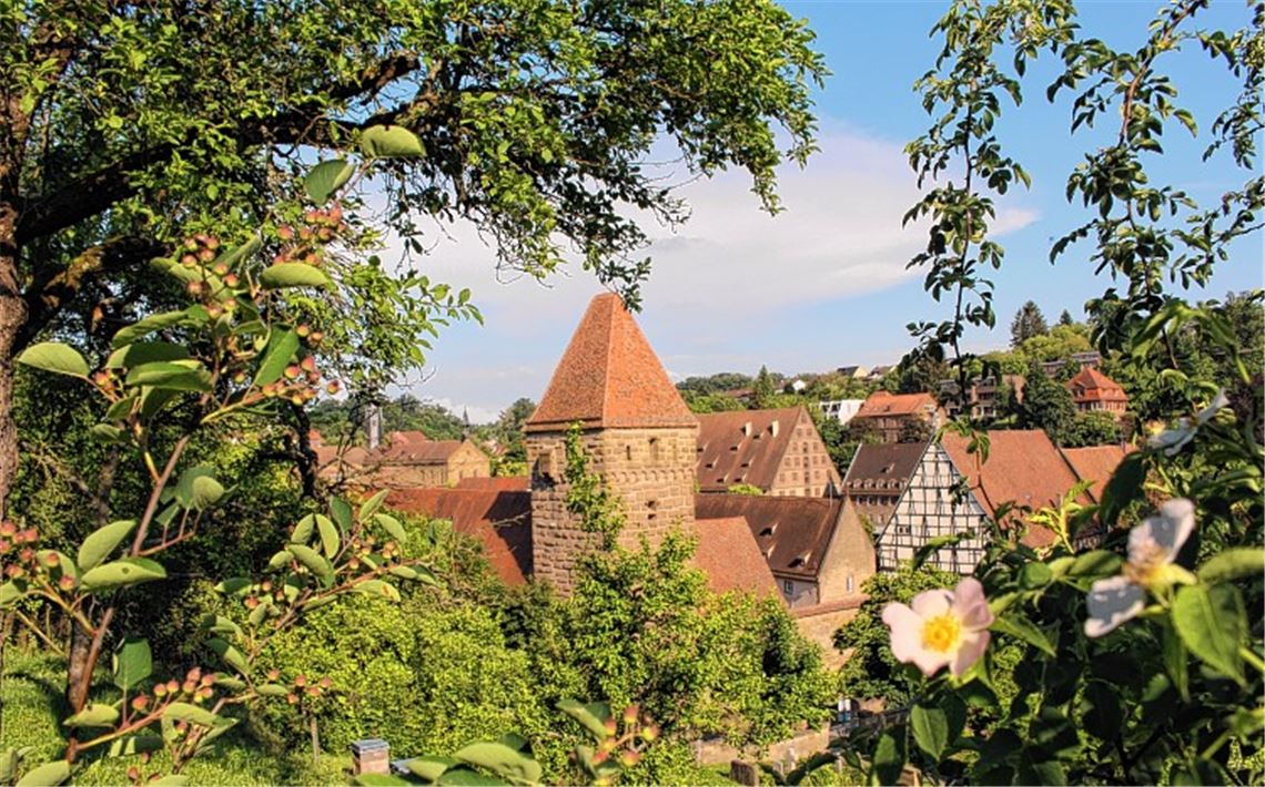 Ein Weinlehrpfad, der verzaubert