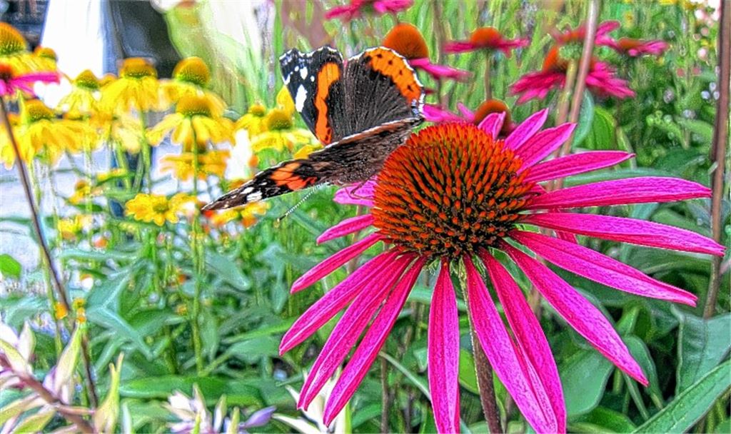 Sommerzeit