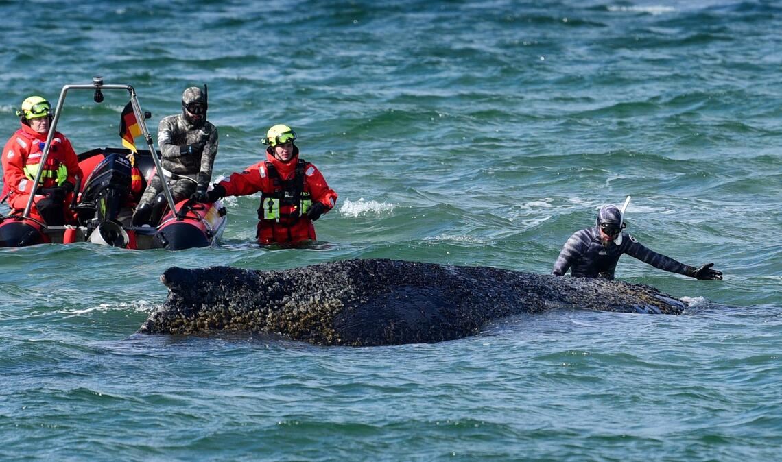 Zwischenzeitlich wurde der Bagger von dem Biologen Robert Marc Lehmann angeleitet.
