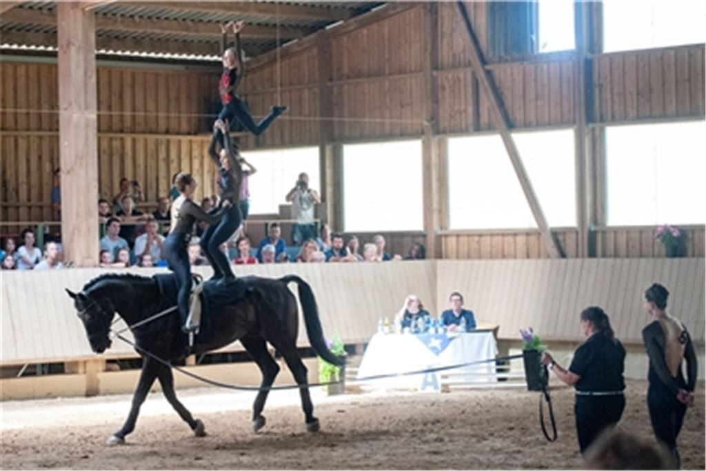 ...genauso wie das S-Team – am Ende gewinnen beide in ihrer Klasse. Fotos: Fotomoment