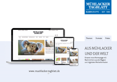 Online-Mediadaten