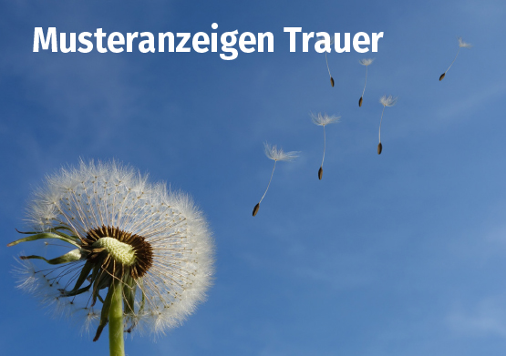 Trauer-Homepage