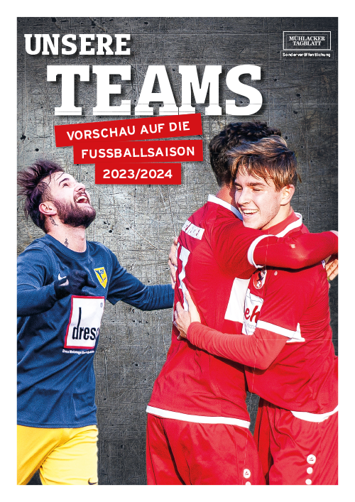 Titelseite-online-Teams